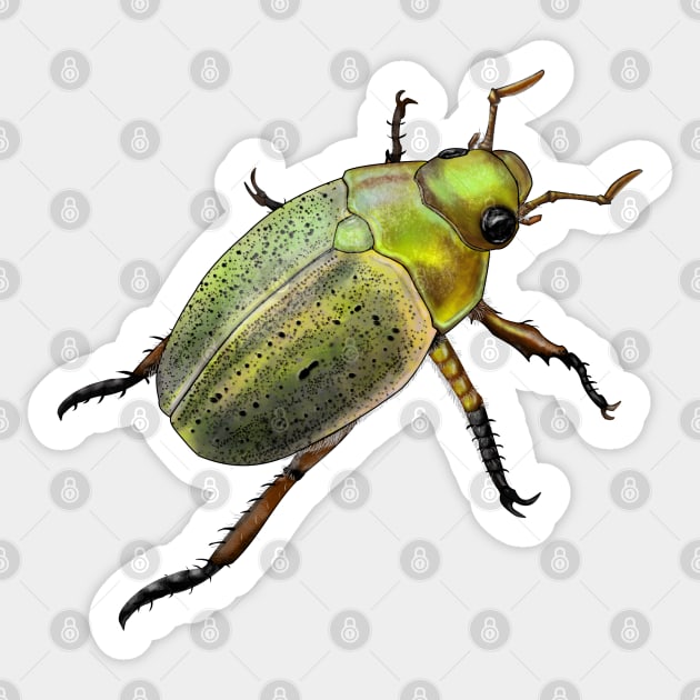 Iridescent green and gold beetle Sticker by ElementalEmbers